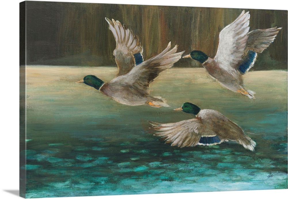 Mallard Flight