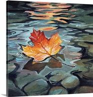 Maple Leaf Floating In A Stream Great Big Canvas