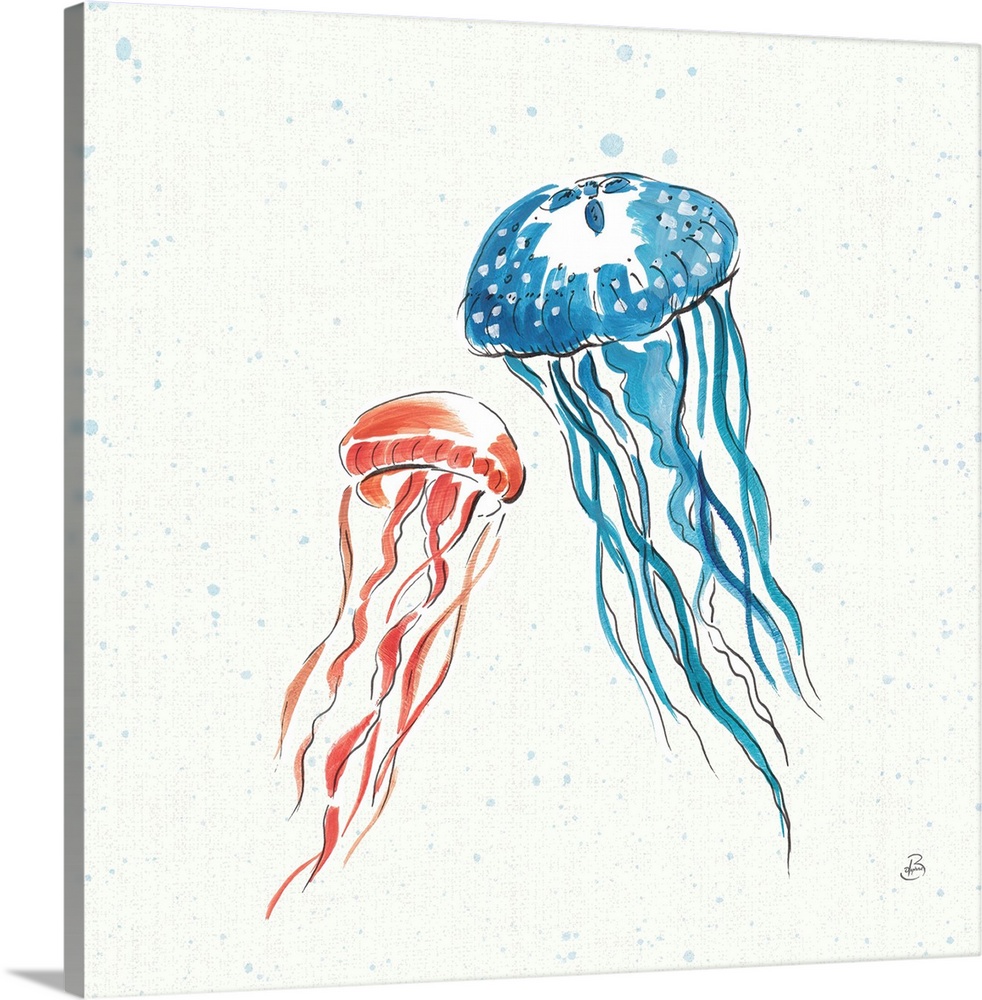 Coral and blue jellyfish on a white square background with light blue paint splatter.
