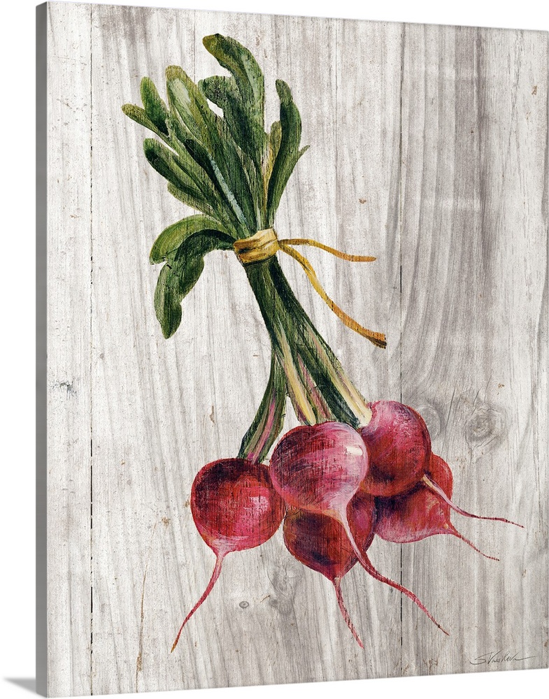 Rustic painting of a bundle of radishes on a white and gray wooden background.