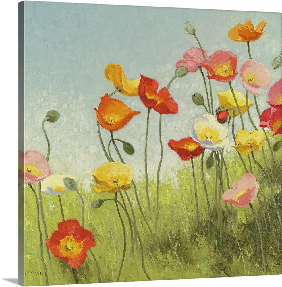 Large contemporary art showcases a gathering of warm toned poppy flowers and buds sitting within an open field of tall gra...