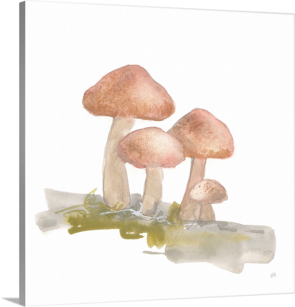 Mellow Mushrooms II