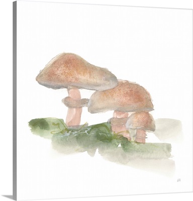 Mellow Mushrooms III
