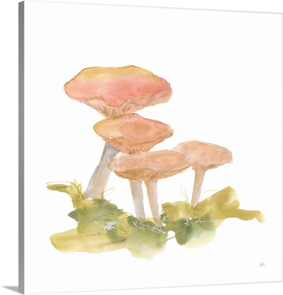 Mellow Mushrooms VI