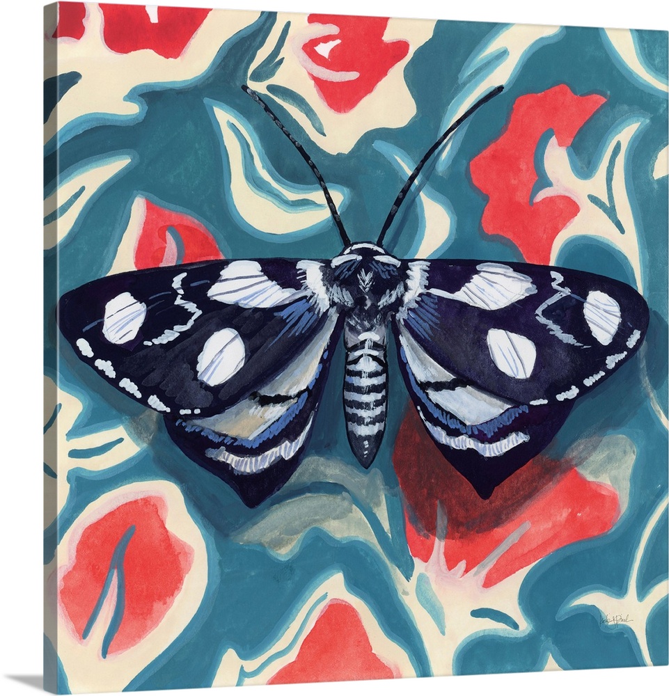 Moth On Beautiful Wall