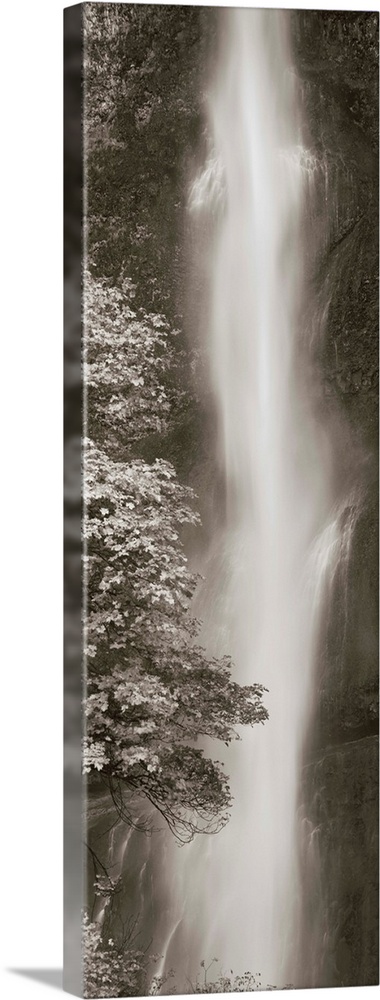 A black and white photograph of a waterfall rushing down over over rocks in a forest.