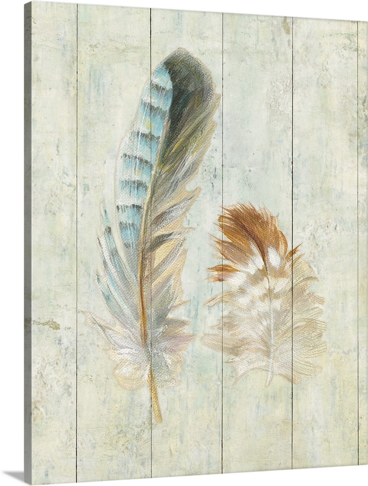 Artwork of soft looking decorative feathers against a rustic wooden background.