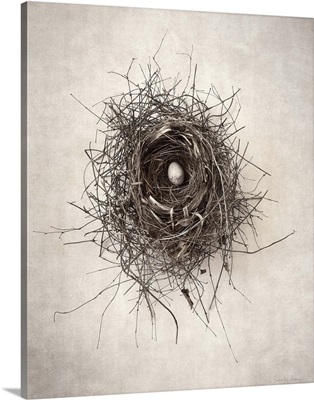 Nest I