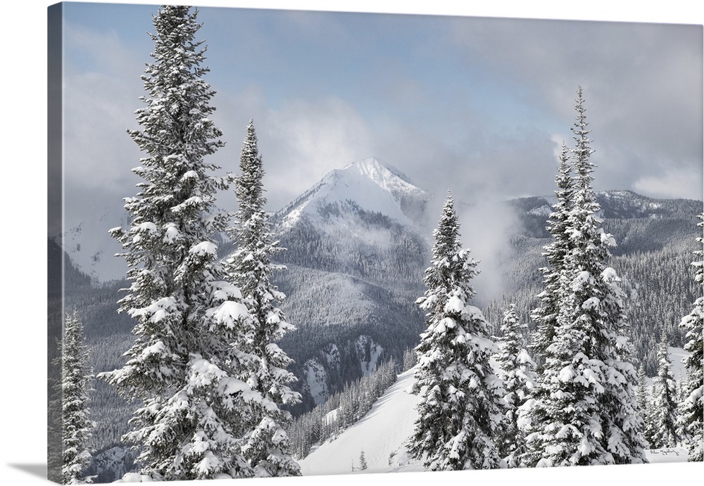 North Cascades in fresh winter snow. Manning Provincial Park, British Columbia.