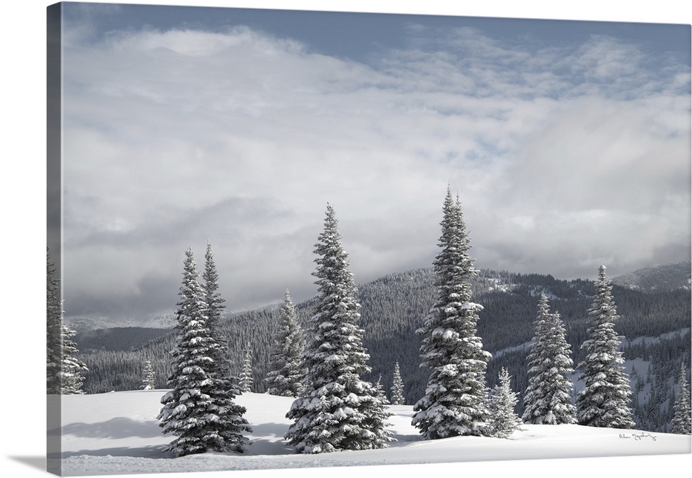 North Cascades in fresh winter snow. Manning Provincial Park, British Columbia.