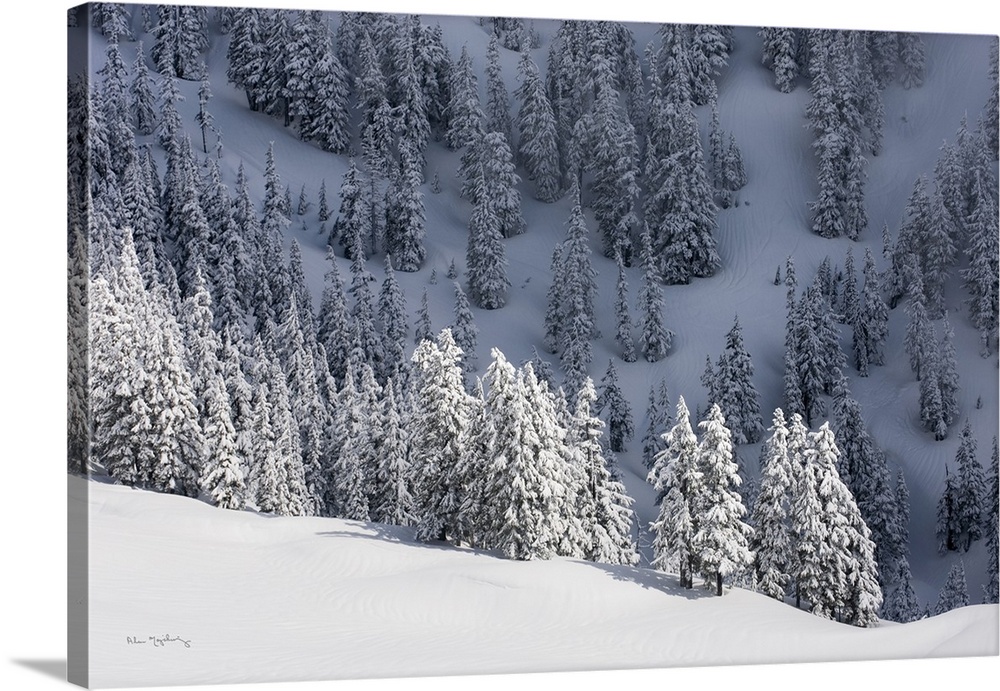 Winter in the Mount Baker Wilderness, Washington, USA.