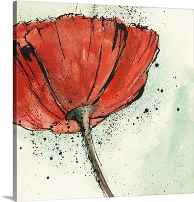 Not a California Poppy I