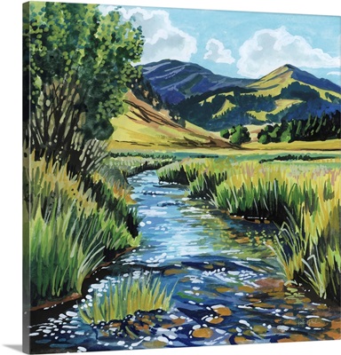 Open Mountain Stream