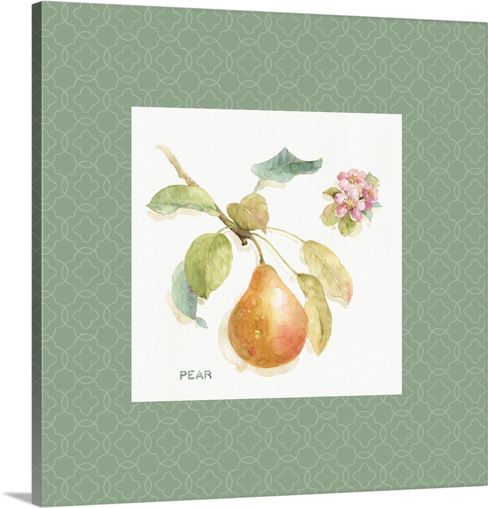 Decorative watercolor artwork of a pear on a branch with a sage green patterned border.