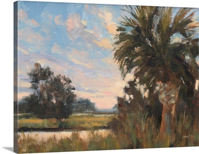 Palmetto Sunset