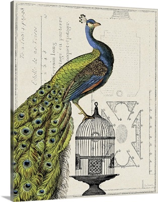 Peacock Birdcage I