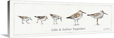 Pebbles and Sandpipers I