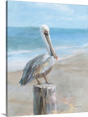 Pelican by the Sea