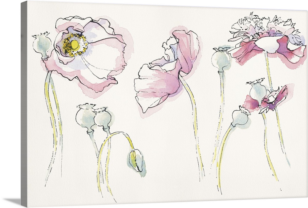 Watercolor painting of soft pink flowers in different positions against a neutral toned background.