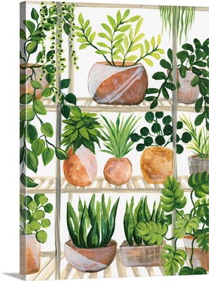 Plants Of Shelf