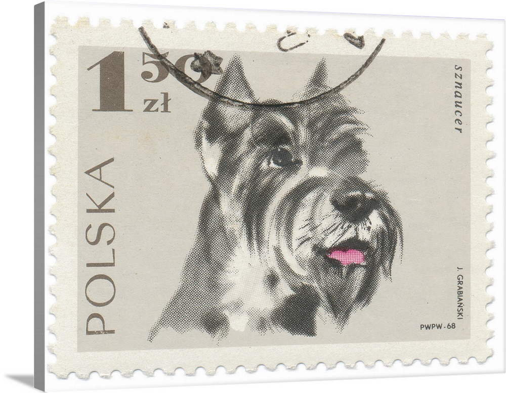 Artwork of a Polish postage stamp of a schnauzer with a black postmark overlapping.