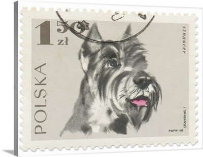 Poland Stamp I on White