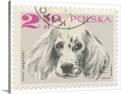 Poland Stamp IV on White