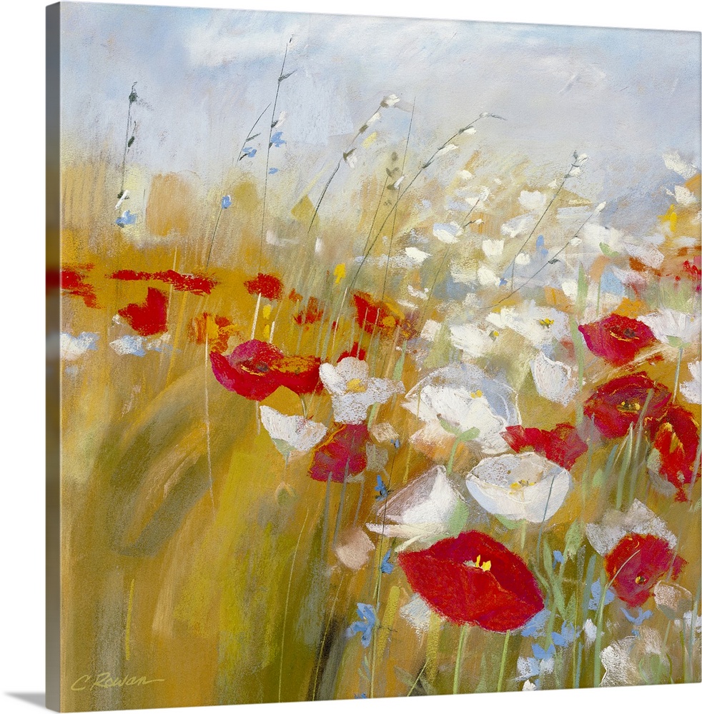 Red and white poppy flowers painted in a meadow with brushstroke whispy clouds overhead.