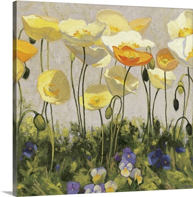 Poppies and Pansies II
