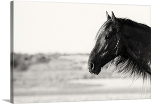 Pretty Girl image thumbnail