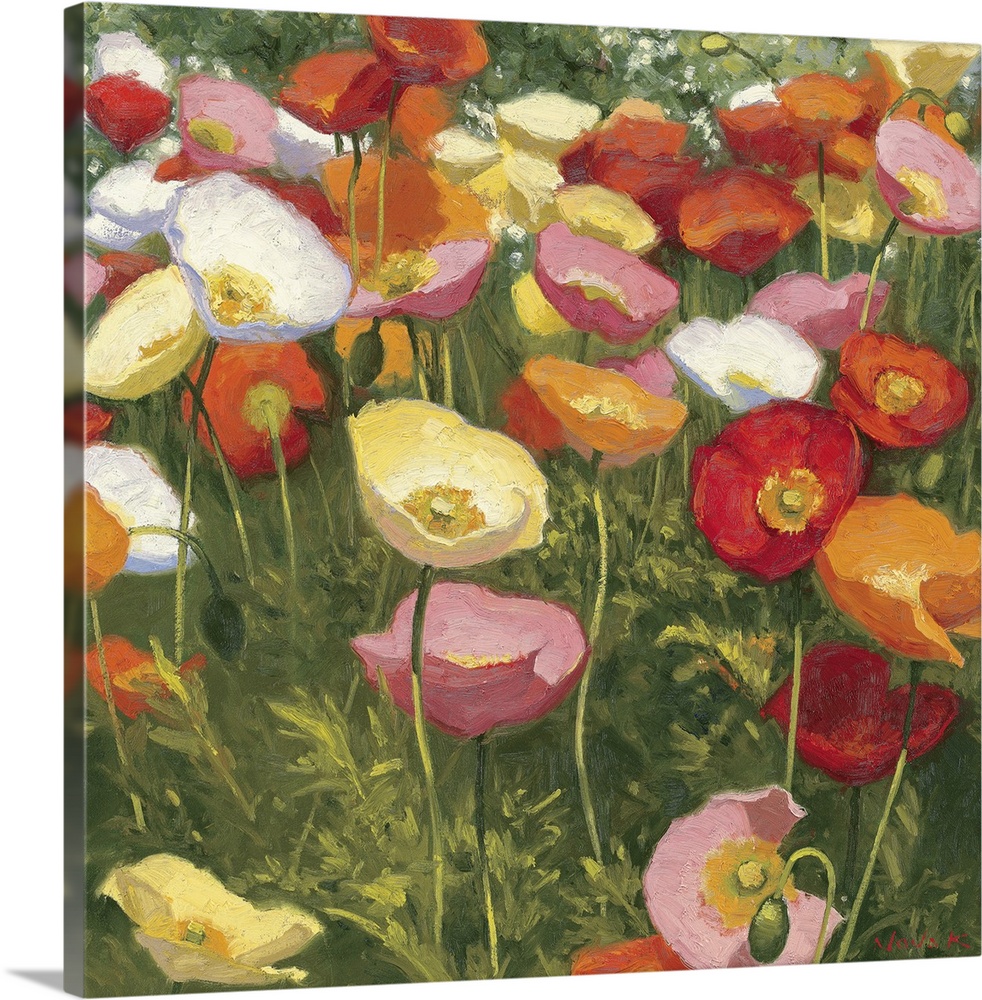 This square shaped decorative accent is a contemporary impressionistic painting of poppies growing in a cluster together.