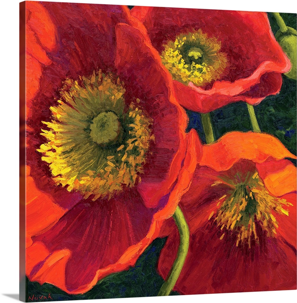 Painting of three poppy flowers up close in the sun.