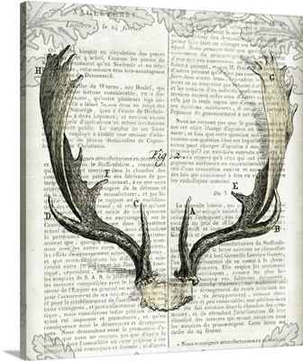 Regal Antlers on Newsprint II