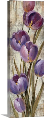 Royal Purple Tulips II Crop