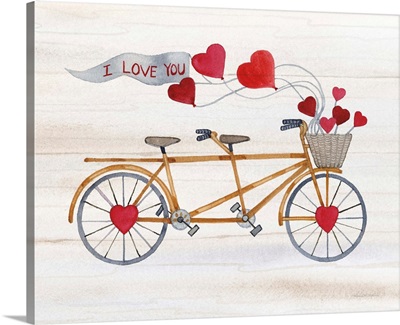 Rustic Valentine Bicycle