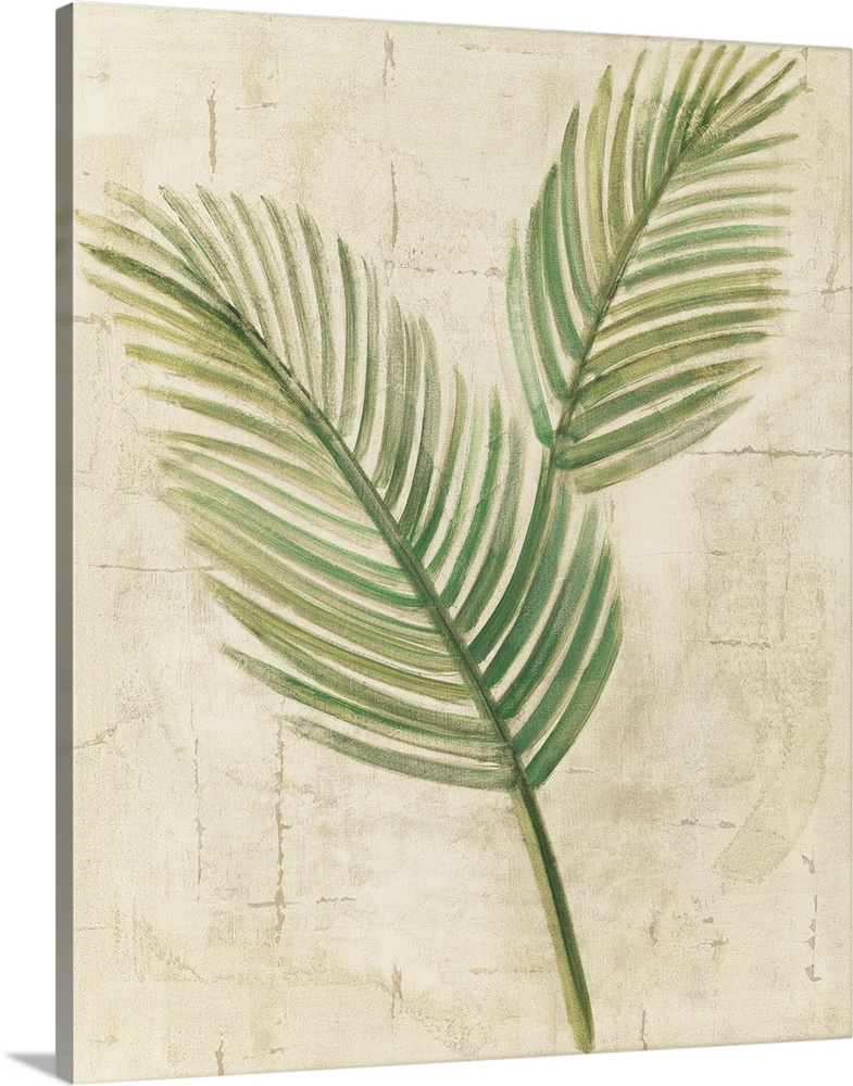 Sago Palm Leaves Neutral Crop