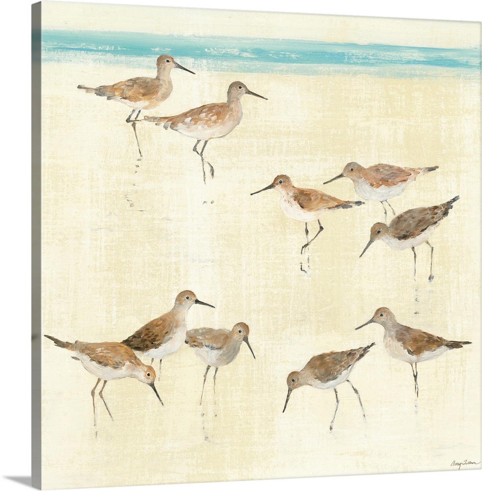 Square, large artwork of a group of sandpiper birds standing on the beach, near the edge of blue water. Painted lightly, w...