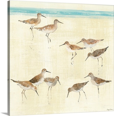 Sandpipers