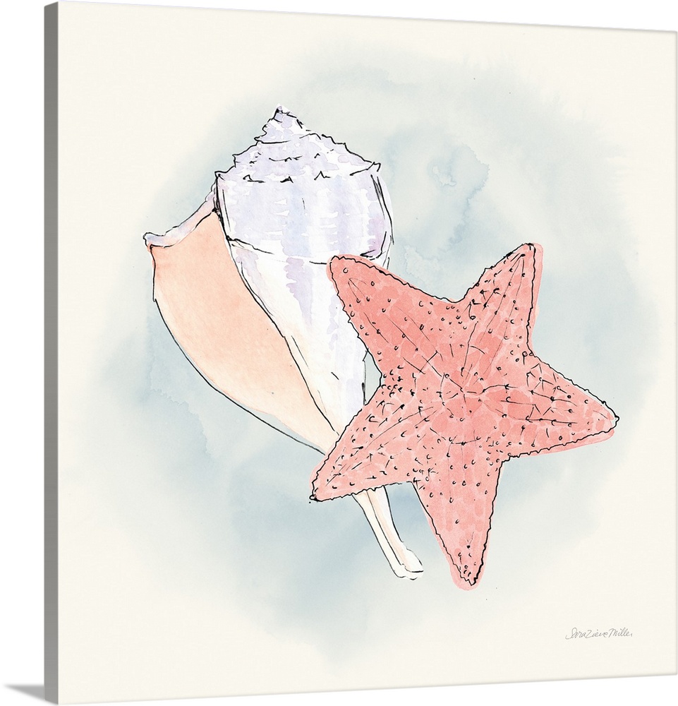 Decorative artwork of an illustrated starfish with a conch seashell.