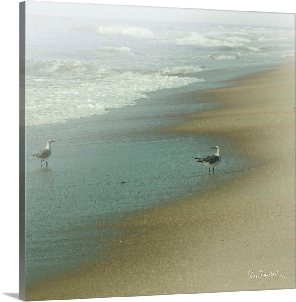 Photograph of idyllic beach scene of gulls walking along the beach.