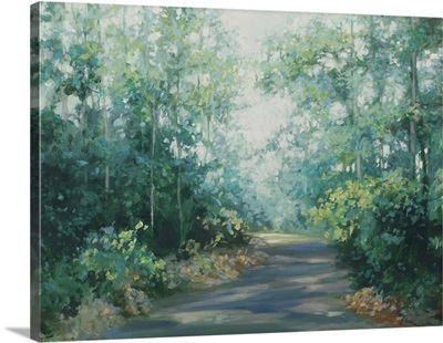 Serene Walk