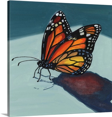 Shadow Study Of A Butterfly