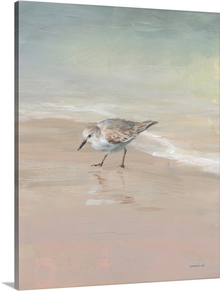 Shorebirds on the Sand III