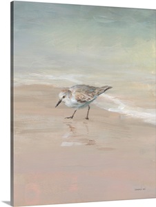 Shorebirds on the Sand III image thumbnail