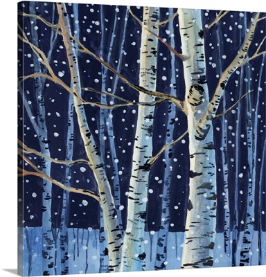 Snowy Birch Grove At Night