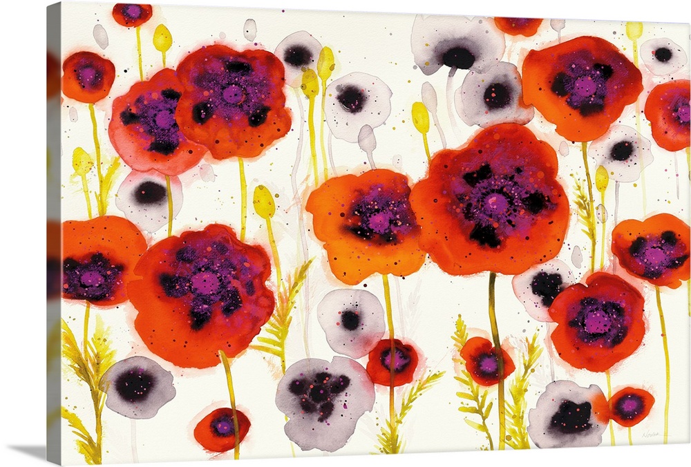 Large watercolor painting of white and red-orange poppy flowers on a white background with a little bit of paint splatter.