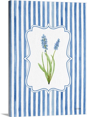 Spring Cartouche II