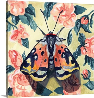 Spring Moth