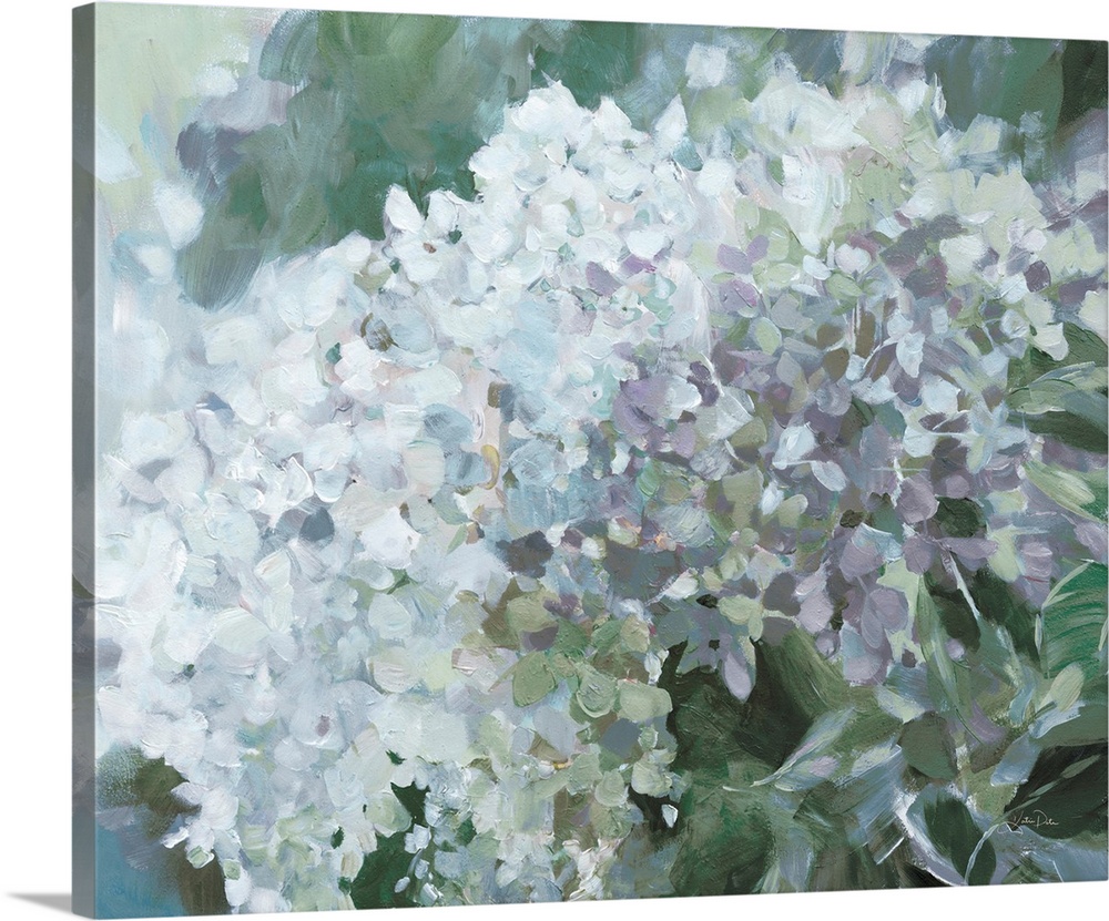 Subtle Shifts Hydrangea