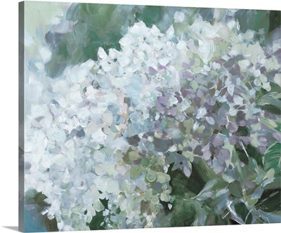 Subtle Shifts Hydrangea